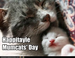HappitayleMumcats' Day