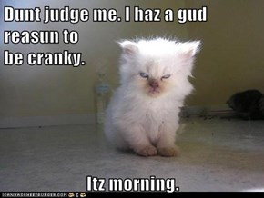 Dunt judge me. I haz a gud reasun to                                               be cranky.  Itz morning.