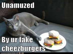 Unamuzed  By ur fake cheezburgers