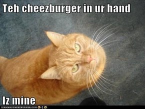 Teh cheezburger in ur hand  Iz mine