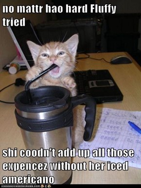 no mattr hao hard Fluffy tried  shi coodn't add up all those expencez without her iced americano