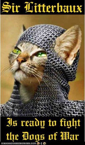 Sir Litterbaux is ready to fight the Dogs of War