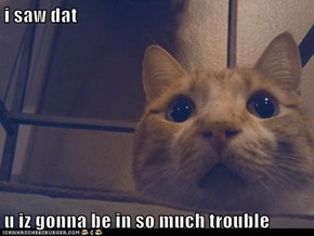 i saw dat  u iz gonna be in so much trouble