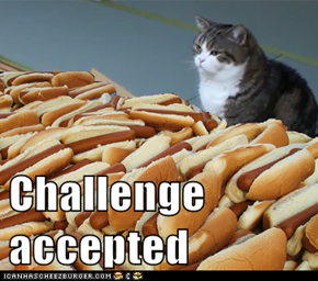 Challenge accepted