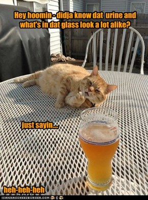Hey hoomin - didja know dat  urine and what's in dat glass look a lot alike?