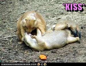*KISS*