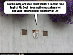 Lolcats: Now Go Away