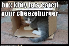 box kitty has eated your cheezeburger