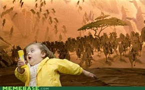 Mufasa, Quick! Stampede in the Gorge... Chubby Bubbles Girl is Down There!