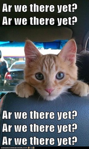Lolcats: Ar We There Yet?