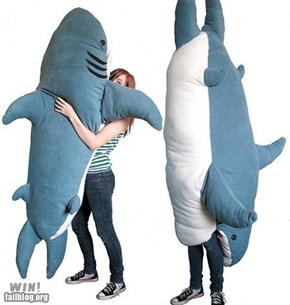 WIN!: Shark Pillow WIN