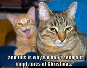 Lolcats: ... And This Is Why
