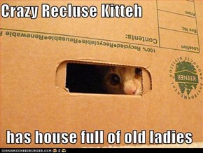 Lolcats: Classic Lolcat