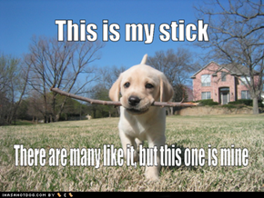 Cyoot Puppy ob teh Day: This is My Stick