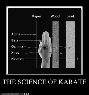 THE SCIENCE OF KARATE