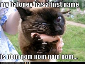 Classic LOLcat