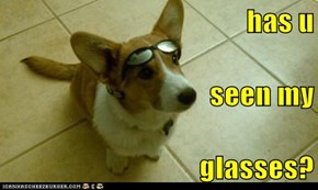 has u seen my glasses?