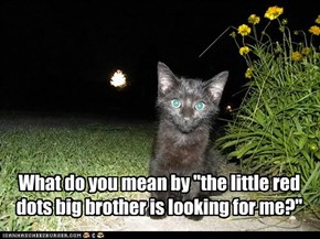 What do you mean by "the little red dots big brother is looking for me?"