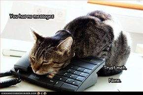 Lolcats: You Has No Messages