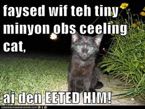 faysed wif teh tiny minyon obs ceeling cat,  ai den EETED HIM!