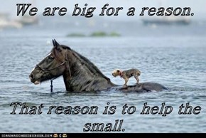 We are big for a reason.   That reason is to help the small.