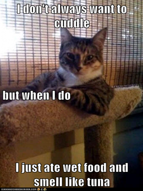 The Most Interesting Cat in the World: It's Called Sharing