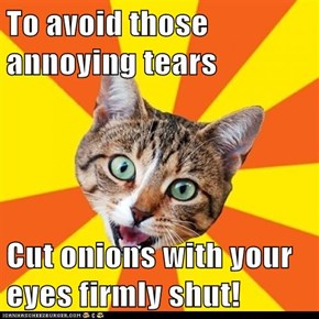 Bad Advice Cat:In Fact, Just Throw the Knife from Across the Room
