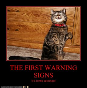 THE FIRST WARNING SIGNS
