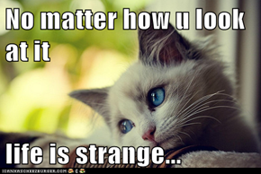 No matter how u look at it  life is strange...