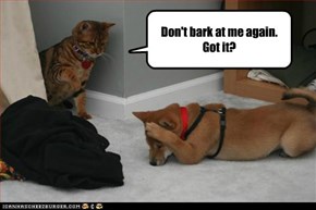 Lolcats: Don't bark