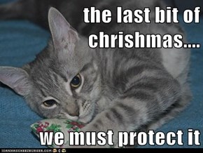 the last bit of chrishmas....  we must protect it
