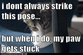 i dont always strike this pose...  but when i do, my paw gets stuck