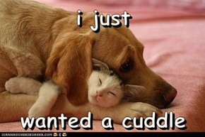 We All Need Cuddles Sometimes...