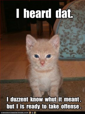 Lolcats: I  heard  dat.