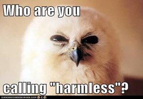 Who are you  calling "harmless"?