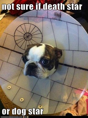 not sure if death star  or dog star