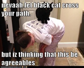 nevaah let black cat cross your path.  but iz thinking that this be agreeables