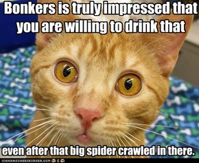 Bonkers is truly impressed that you are willing to drink that