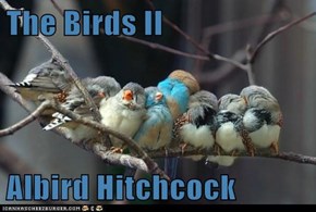 The Birds II  Albird Hitchcock