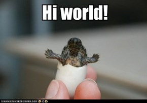 Animal Capshunz: Hello, Turtle!