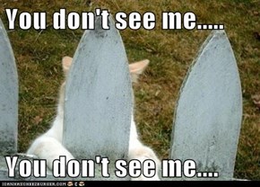 You don't see me.....  You don't see me....