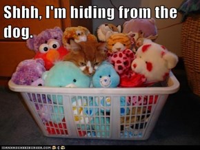 Shhh, I'm hiding from the dog.