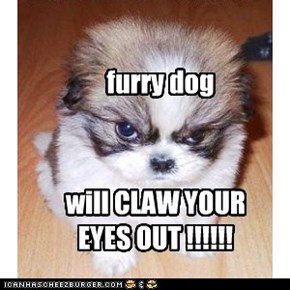 furry dog