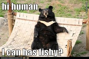 hi human  I can has fishy?