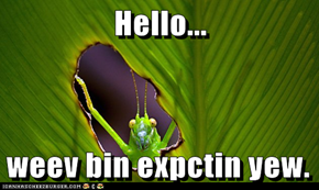 Hello...   weev bin expctin yew.