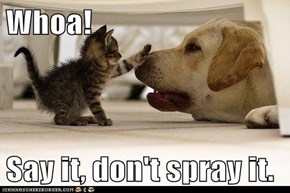 Whoa!  Say it, don't spray it.