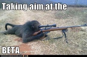 Taking aim at the   BETA