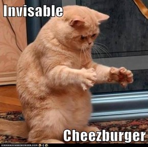 Invisable  Cheezburger
