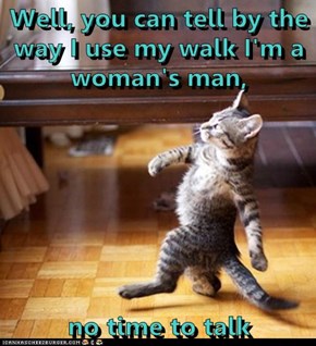 Well, you can tell by the way I use my walk