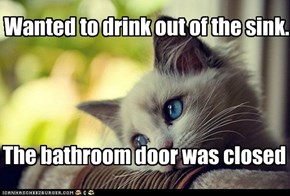 Cat problems